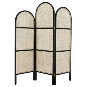 Cane Partition